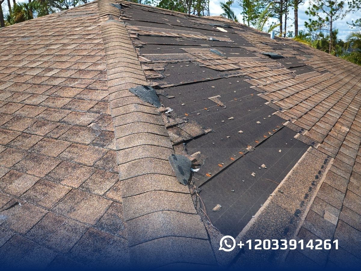 Roof Leaking After Rain? Find Out Why & Fix It!