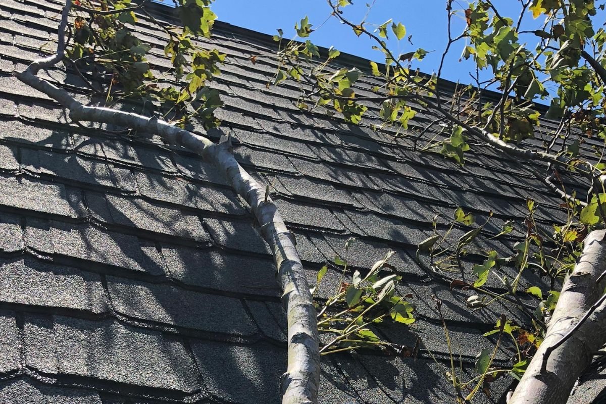 Storm Damage Roof Repair Services in Bronx, NY